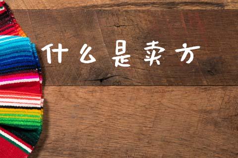 什么是卖方_https://wap.fansifence.com_今日财经_第1张