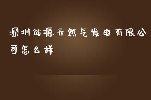 深圳能源天然气发电有限公司怎么样_https://wap.fansifence.com_投资理财_第1张