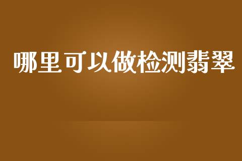 哪里可以做检测翡翠_https://wap.fansifence.com_债券投资_第1张