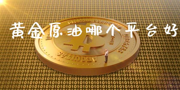 黄金原油哪个平台好_https://wap.fansifence.com_投资理财_第1张
