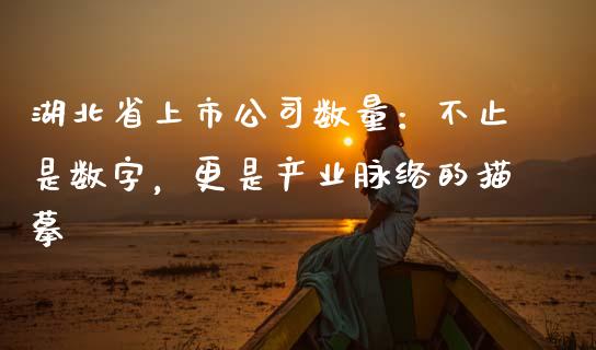 湖北省上市公司数量：不止是数字，更是产业脉络的描摹_https://wap.fansifence.com_投资理财_第1张