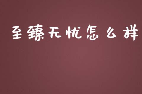 至臻无忧怎么样_https://wap.fansifence.com_投资理财_第1张