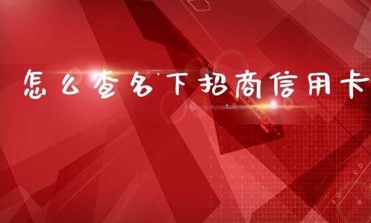 怎么查名下招商信用卡_https://wap.fansifence.com_外汇交易_第1张