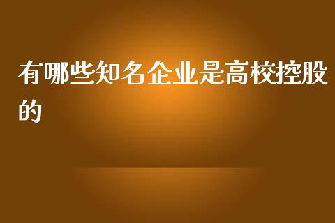 有哪些知名企业是高校控股的_https://wap.fansifence.com_债券投资_第1张