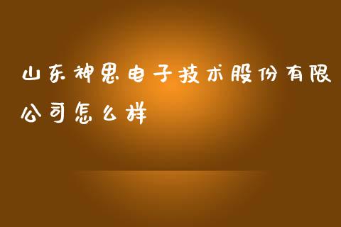 山东神思电子技术股份有限公司怎么样_https://wap.fansifence.com_债券投资_第1张