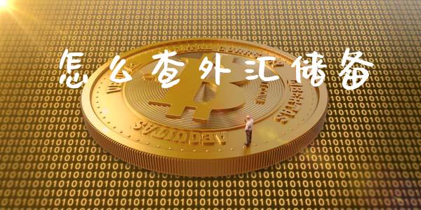 怎么查外汇储备_https://wap.fansifence.com_投资理财_第1张