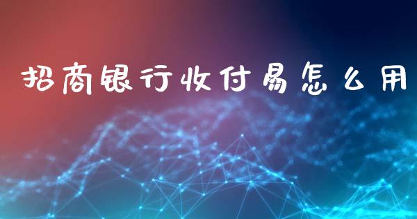 招商银行收付易怎么用_https://wap.fansifence.com_外汇交易_第1张