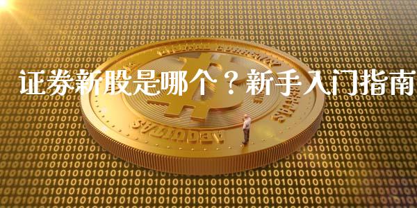 证券新股是哪个？新手入门指南_https://wap.fansifence.com_外汇交易_第1张