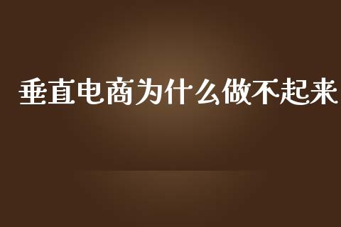 垂直电商为什么做不起来_https://wap.fansifence.com_外汇交易_第1张