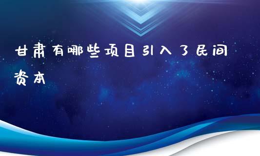 甘肃有哪些项目引入了民间资本_https://wap.fansifence.com_投资理财_第1张