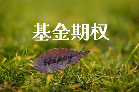 基金期权_https://wap.fansifence.com_今日财经_第1张