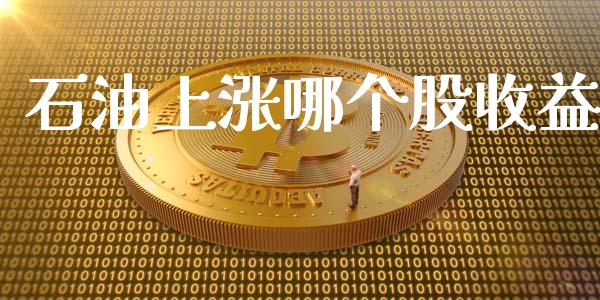 石油上涨哪个股收益_https://wap.fansifence.com_债券投资_第1张
