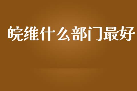 皖维什么部门最好_https://wap.fansifence.com_债券投资_第1张