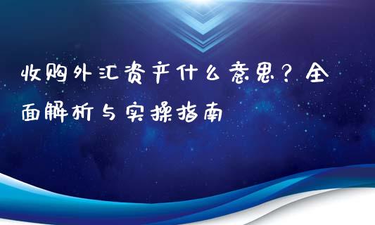收购外汇资产什么意思?全面解析与实操指南_投资理财_第1张_今日财经_投资理财_债券投资_外汇交易 收购外汇资产什么意思?全面解析与实操指南_https://wap.fansifence.com_投资理财_第1张