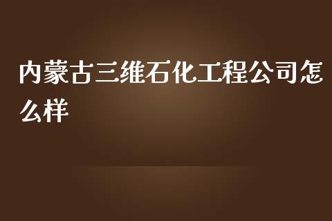 内蒙古三维石化工程公司怎么样_https://wap.fansifence.com_今日财经_第1张