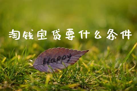 淘钱宝贷要什么条件_https://wap.fansifence.com_外汇交易_第1张