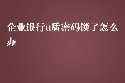 企业银行u盾密码锁了怎么办_https://wap.fansifence.com_债券投资_第1张