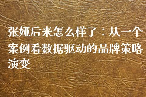 张娅后来怎么样了：从一个案例看数据驱动的品牌策略演变_https://wap.fansifence.com_今日财经_第1张