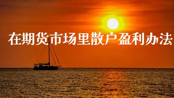 在期货市场里散户盈利办法_https://wap.fansifence.com_今日财经_第1张