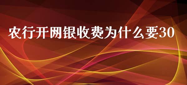 农行开网银收费为什么要30_https://wap.fansifence.com_债券投资_第1张