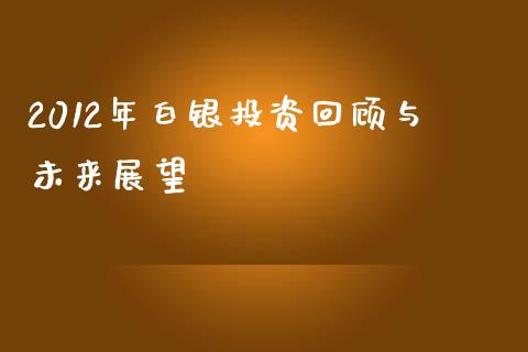 2012年白银投资回顾与未来展望_https://wap.fansifence.com_今日财经_第1张