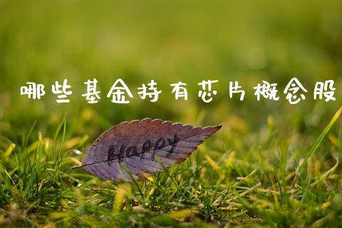 哪些基金持有芯片概念股_https://wap.fansifence.com_投资理财_第1张