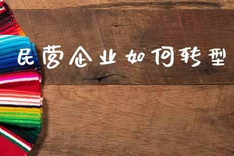 民营企业如何转型_https://wap.fansifence.com_投资理财_第1张