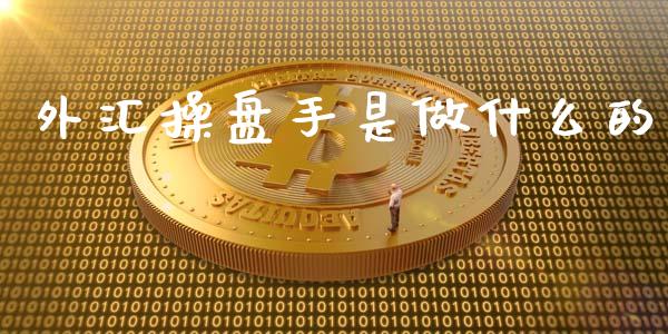 外汇操盘手是做什么的_https://wap.fansifence.com_债券投资_第1张