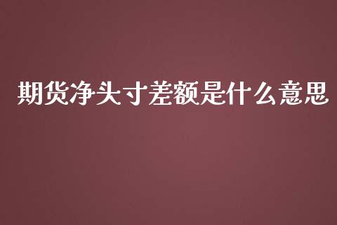 期货净头寸差额是什么意思_https://wap.fansifence.com_外汇交易_第1张