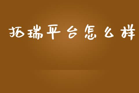 拓瑞平台怎么样_https://wap.fansifence.com_投资理财_第1张