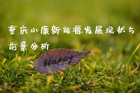 重庆小康新能源发展现状与前景分析_https://wap.fansifence.com_今日财经_第1张