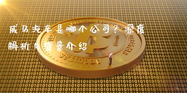 威马汽车是哪个公司？深度解析与背景介绍_https://wap.fansifence.com_债券投资_第1张