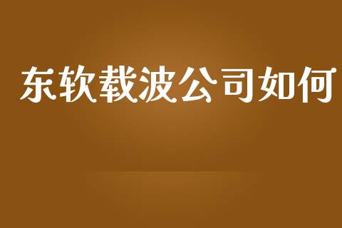 东软载波公司如何_https://wap.fansifence.com_债券投资_第1张