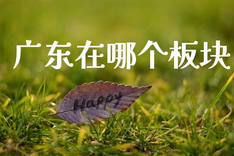 广东在哪个板块_https://wap.fansifence.com_投资理财_第1张