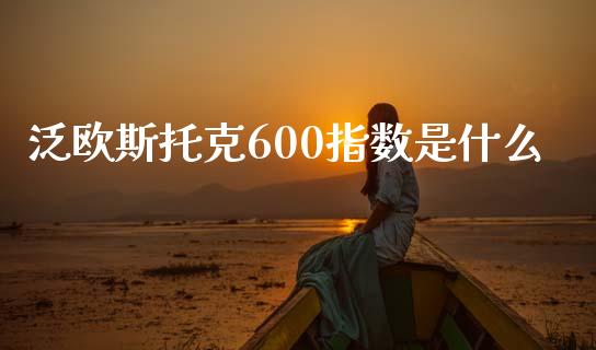 泛欧斯托克600指数是什么_https://wap.fansifence.com_投资理财_第1张