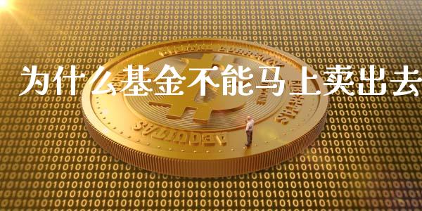 为什么基金不能马上卖出去_https://wap.fansifence.com_投资理财_第1张