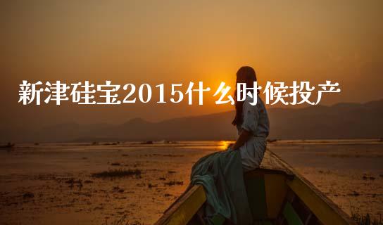 新津硅宝2015什么时候投产_https://wap.fansifence.com_今日财经_第1张