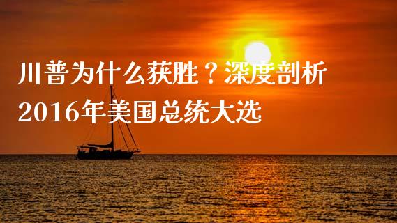川普为什么获胜？深度剖析2016年美国总统大选_https://wap.fansifence.com_外汇交易_第1张