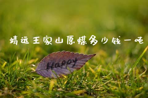 靖远王家山原煤多少钱一吨_https://wap.fansifence.com_投资理财_第1张