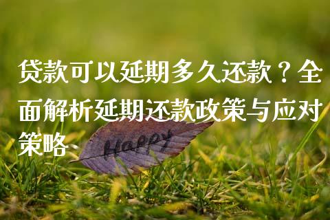 贷款可以延期多久还款？全面解析延期还款政策与应对策略_https://wap.fansifence.com_投资理财_第1张