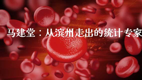 马建堂：从滨州走出的统计专家_https://wap.fansifence.com_今日财经_第1张