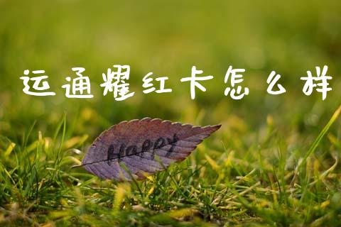 运通耀红卡怎么样_https://wap.fansifence.com_投资理财_第1张