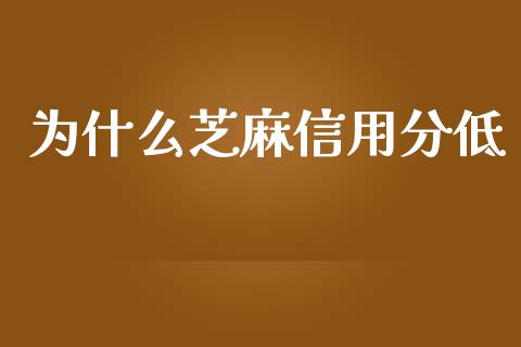 为什么芝麻信用分低_https://wap.fansifence.com_债券投资_第1张