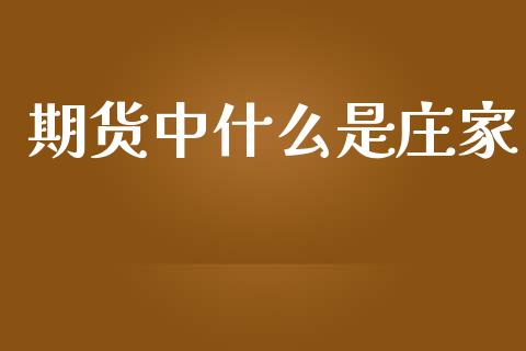 期货中什么是庄家_https://wap.fansifence.com_债券投资_第1张