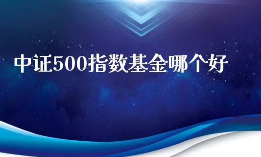 中证500指数基金哪个好_https://wap.fansifence.com_债券投资_第1张