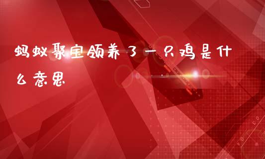 蚂蚁聚宝领养了一只鸡是什么意思_https://wap.fansifence.com_今日财经_第1张