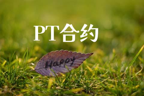 PT合约_https://wap.fansifence.com_外汇交易_第1张