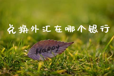 兑换外汇在哪个银行_https://wap.fansifence.com_今日财经_第1张
