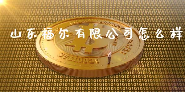 山东福尔有限公司怎么样_https://wap.fansifence.com_债券投资_第1张