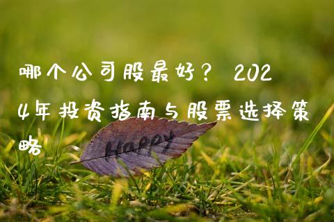 哪个公司股最好？ 2024年投资指南与股票选择策略_https://wap.fansifence.com_债券投资_第1张